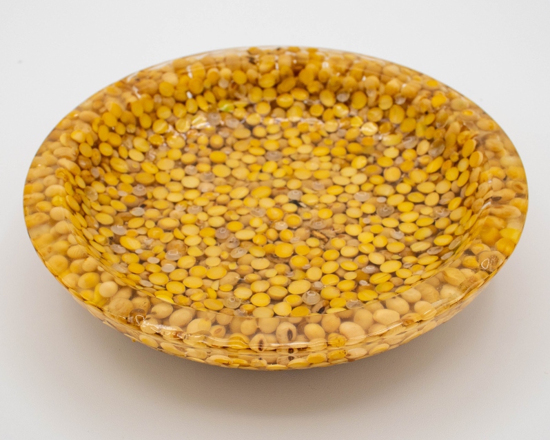 Shallow Soybean Bowl